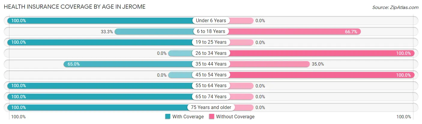 Health Insurance Coverage by Age in Jerome