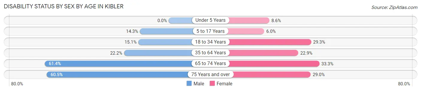 Disability Status by Sex by Age in Kibler