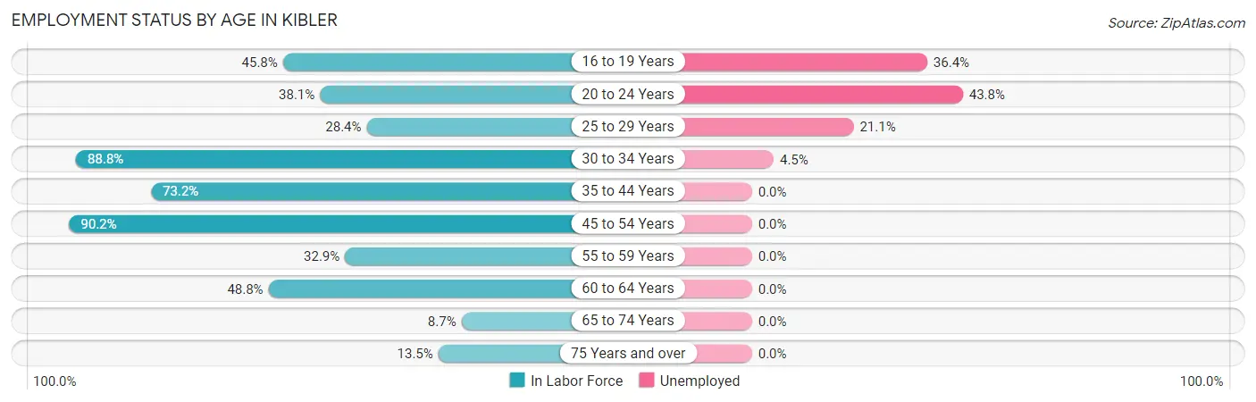 Employment Status by Age in Kibler