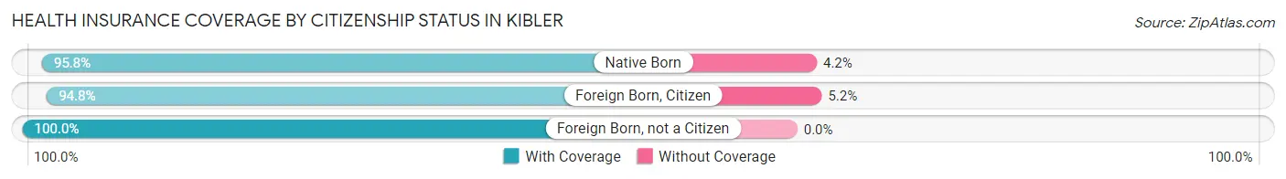 Health Insurance Coverage by Citizenship Status in Kibler