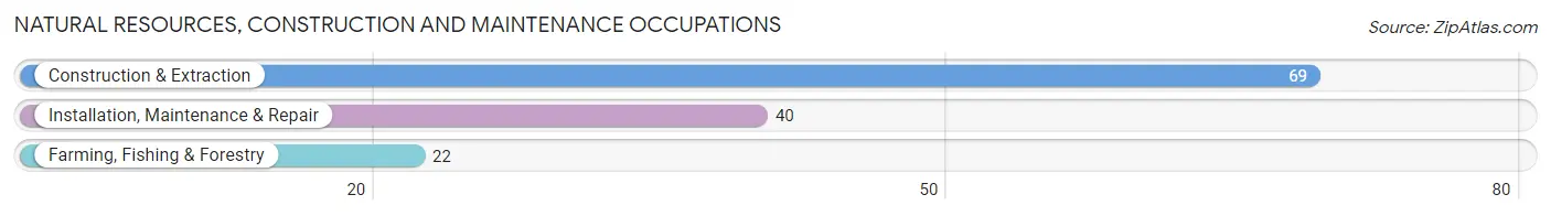 Natural Resources, Construction and Maintenance Occupations in Lake Village