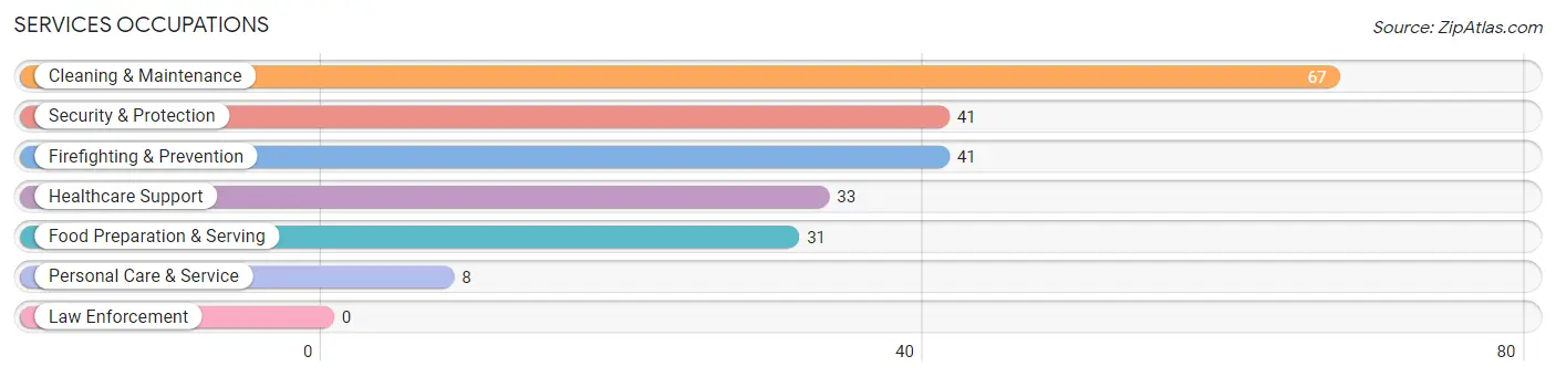 Services Occupations in Lake Village