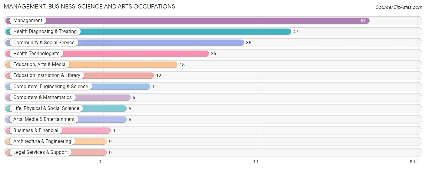 Management, Business, Science and Arts Occupations in Lepanto