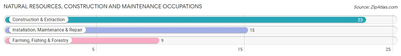 Natural Resources, Construction and Maintenance Occupations in Lepanto