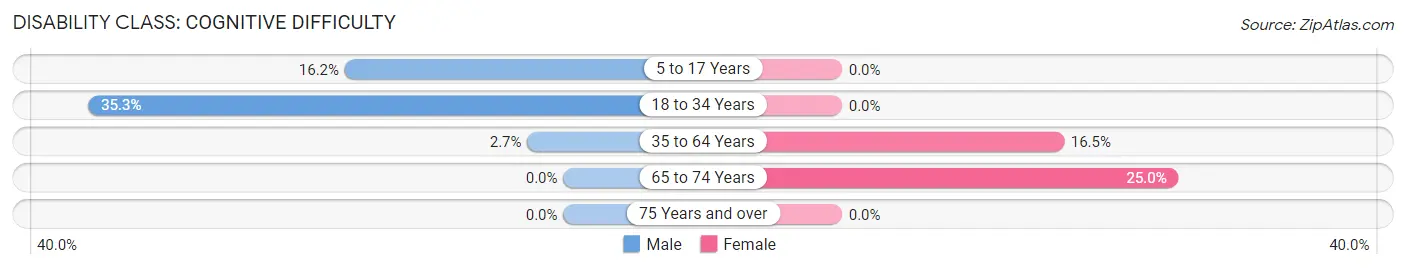 Disability in Leslie: <span>Cognitive Difficulty</span>