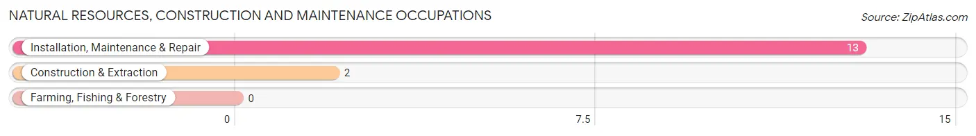 Natural Resources, Construction and Maintenance Occupations in Leslie