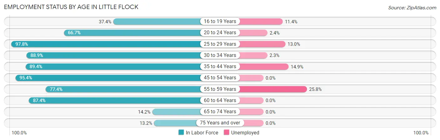 Employment Status by Age in Little Flock