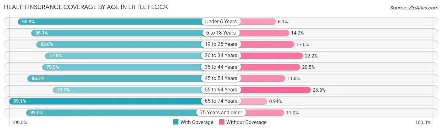 Health Insurance Coverage by Age in Little Flock