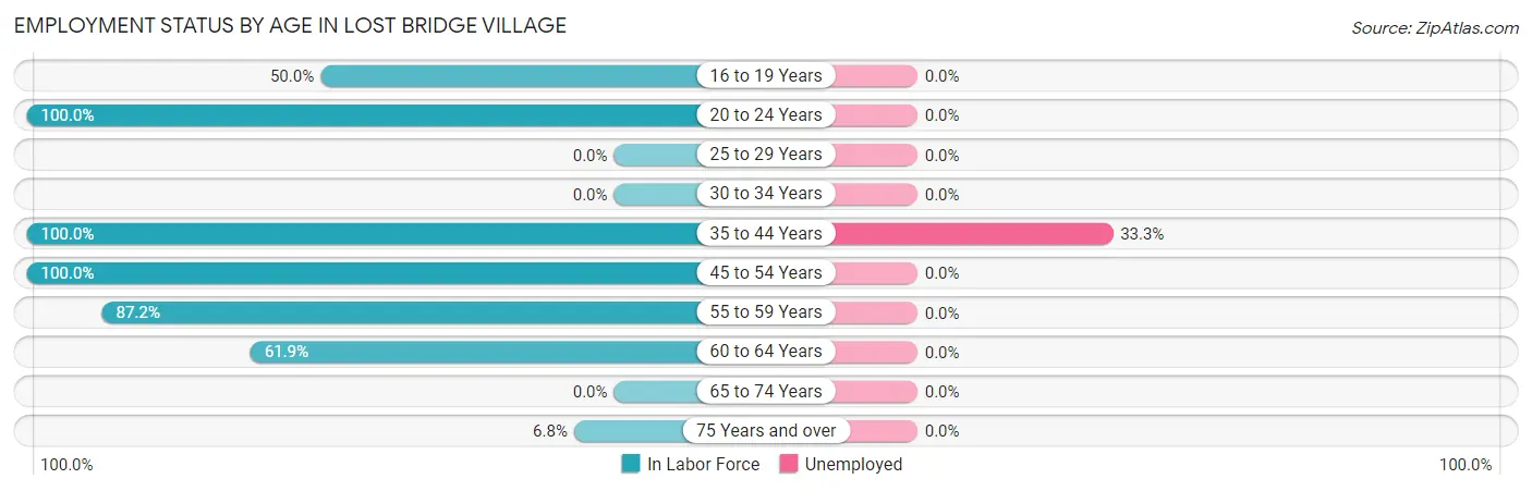 Employment Status by Age in Lost Bridge Village