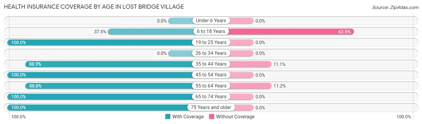 Health Insurance Coverage by Age in Lost Bridge Village