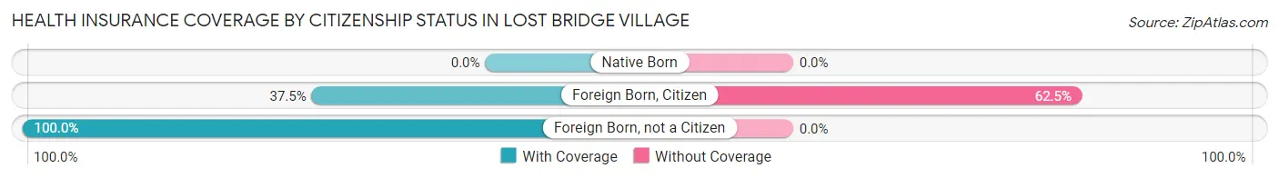 Health Insurance Coverage by Citizenship Status in Lost Bridge Village