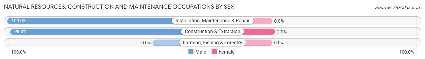 Natural Resources, Construction and Maintenance Occupations by Sex in Lowell