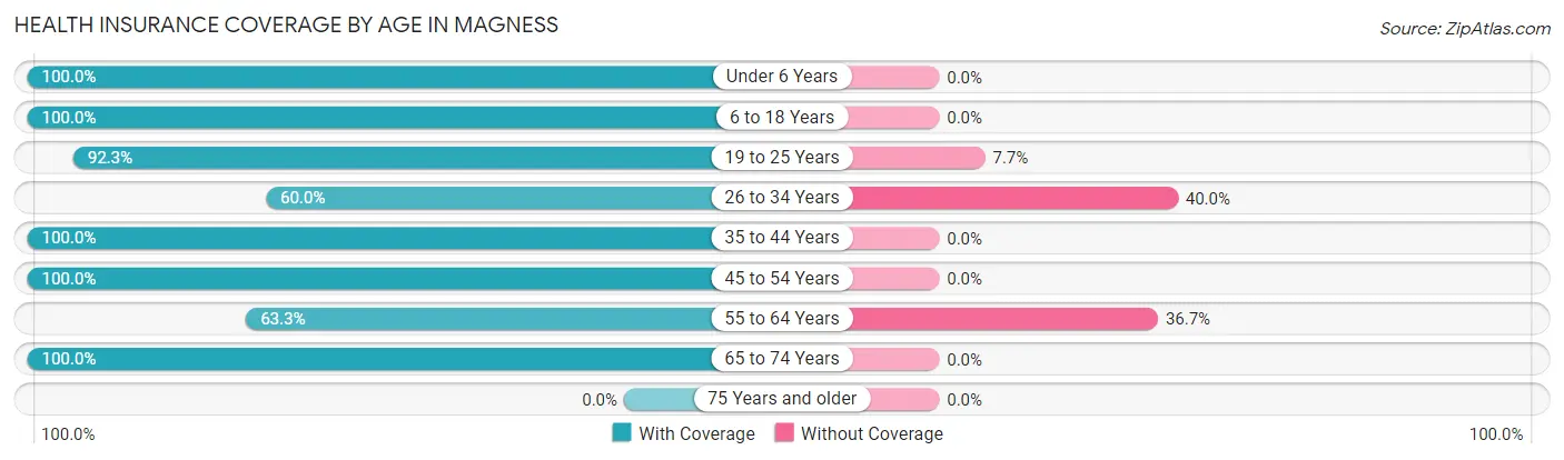 Health Insurance Coverage by Age in Magness