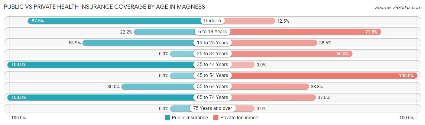 Public vs Private Health Insurance Coverage by Age in Magness