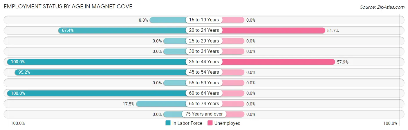 Employment Status by Age in Magnet Cove