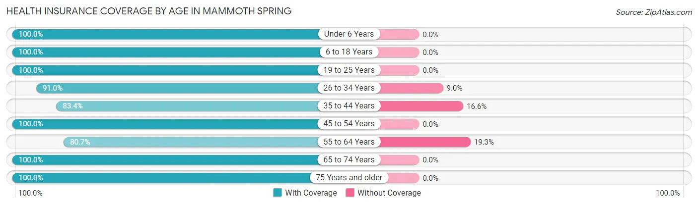 Health Insurance Coverage by Age in Mammoth Spring