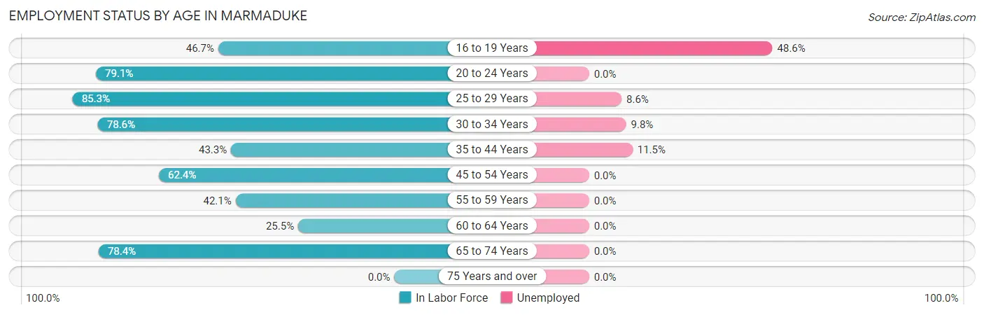 Employment Status by Age in Marmaduke