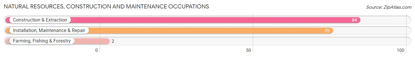 Natural Resources, Construction and Maintenance Occupations in Mayflower