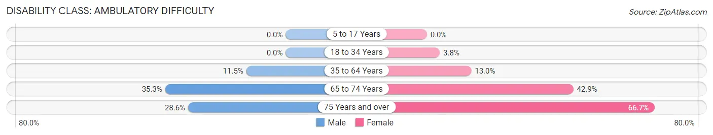 Disability in Maynard: <span>Ambulatory Difficulty</span>