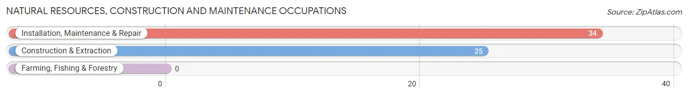 Natural Resources, Construction and Maintenance Occupations in McRae