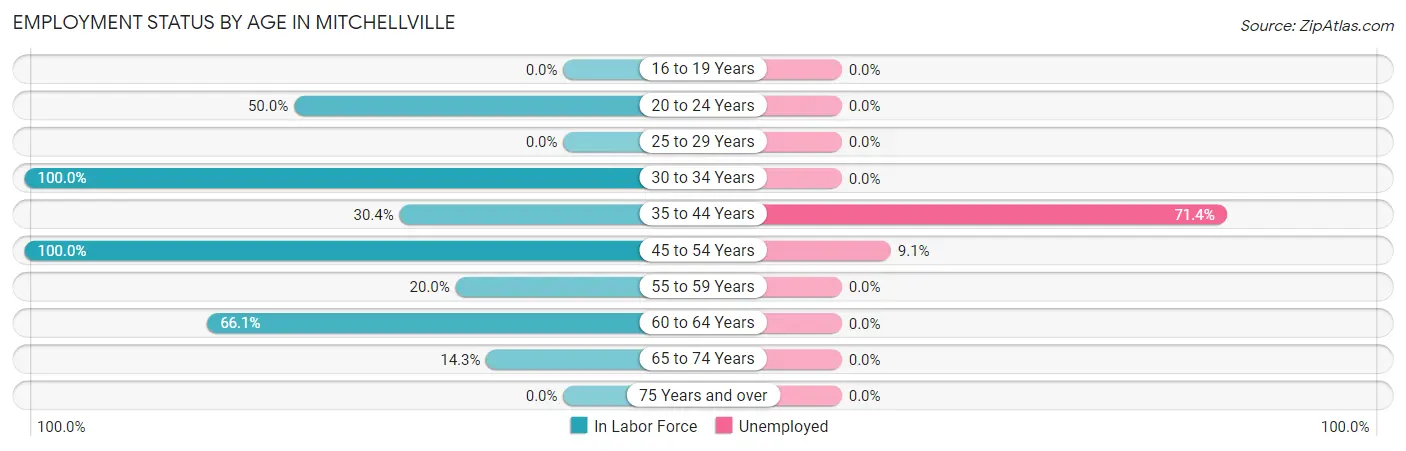 Employment Status by Age in Mitchellville
