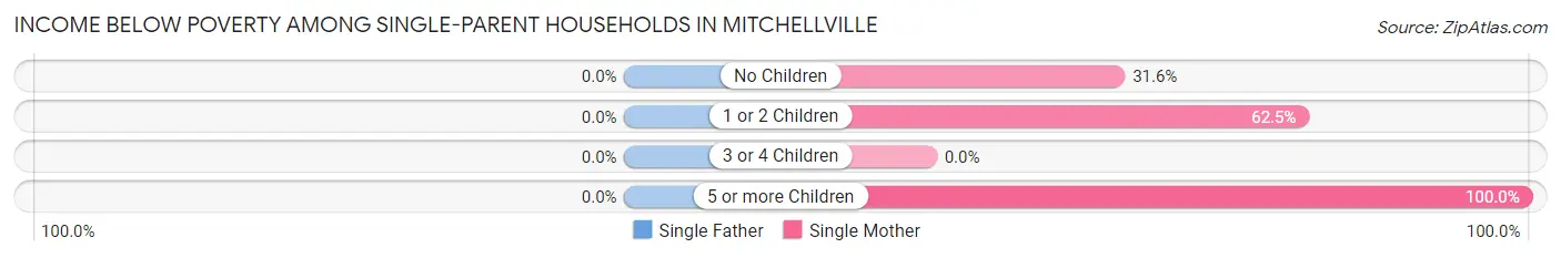 Income Below Poverty Among Single-Parent Households in Mitchellville