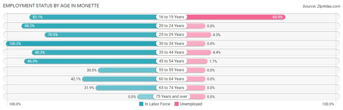 Employment Status by Age in Monette