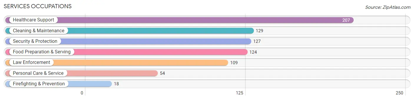 Services Occupations in Monticello