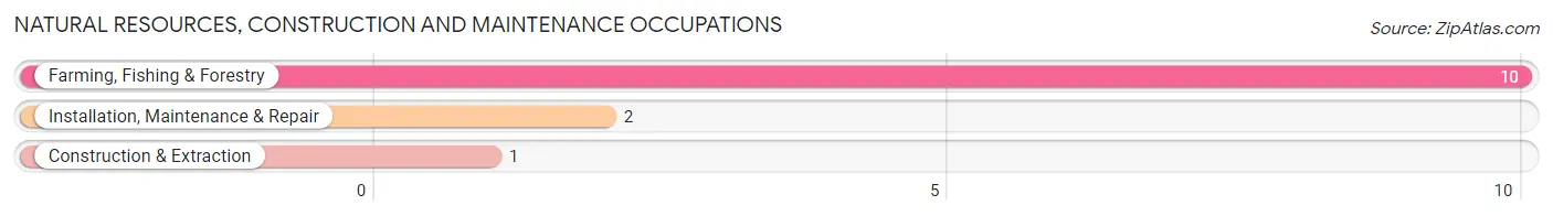 Natural Resources, Construction and Maintenance Occupations in Montrose