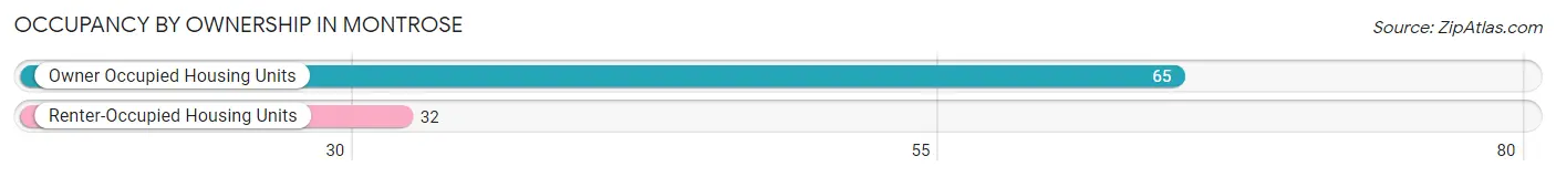 Occupancy by Ownership in Montrose