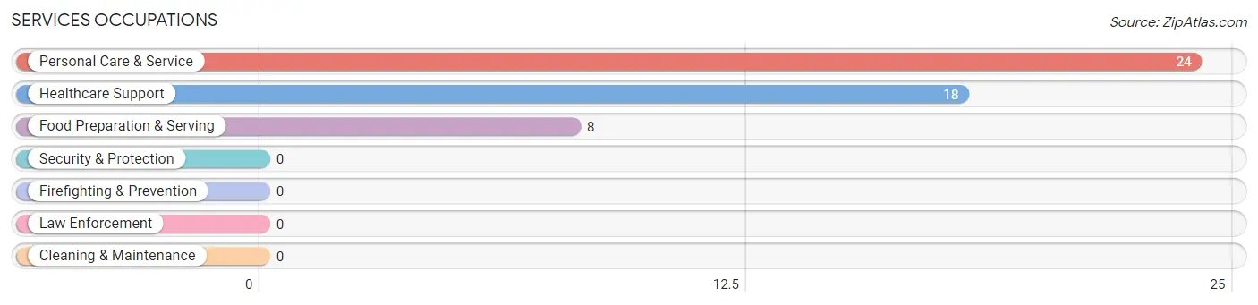 Services Occupations in Mount Ida