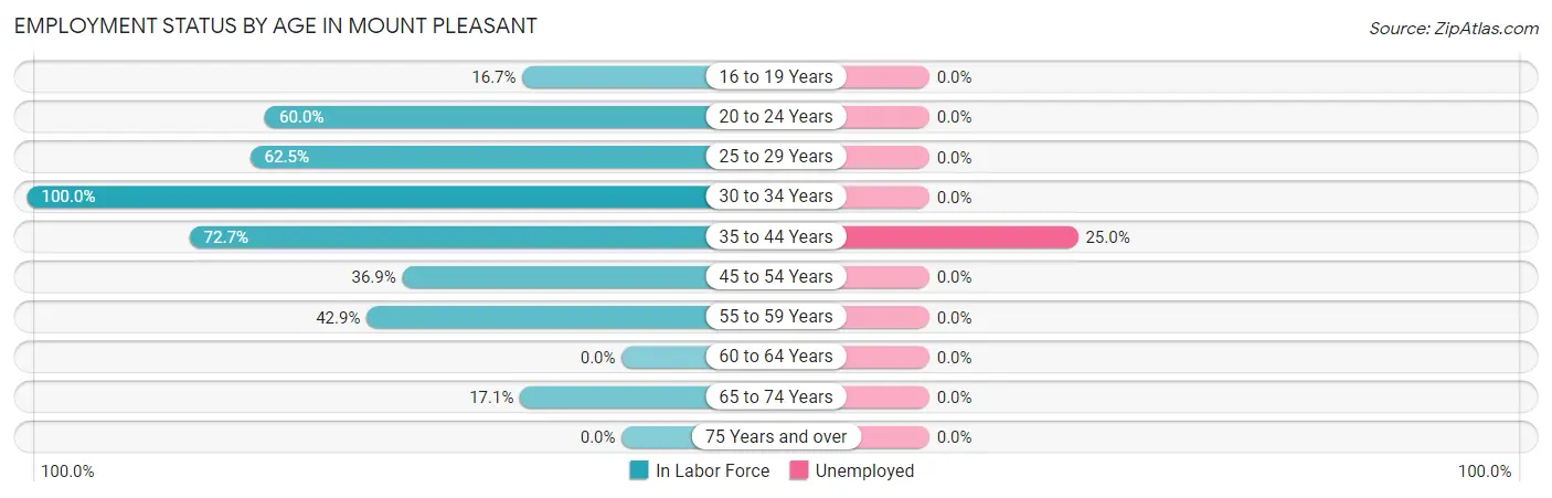 Employment Status by Age in Mount Pleasant