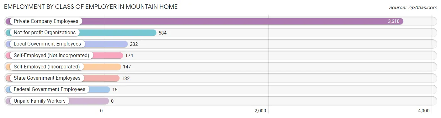 Employment by Class of Employer in Mountain Home