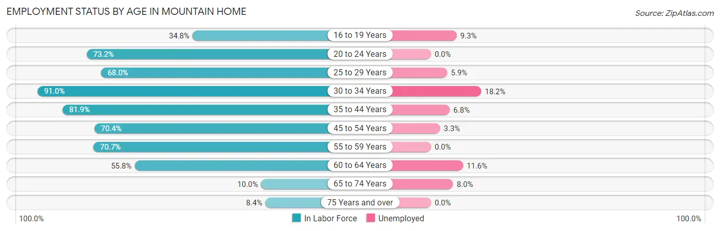 Employment Status by Age in Mountain Home