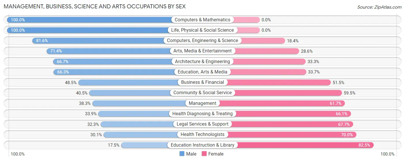 Management, Business, Science and Arts Occupations by Sex in Mountain Home