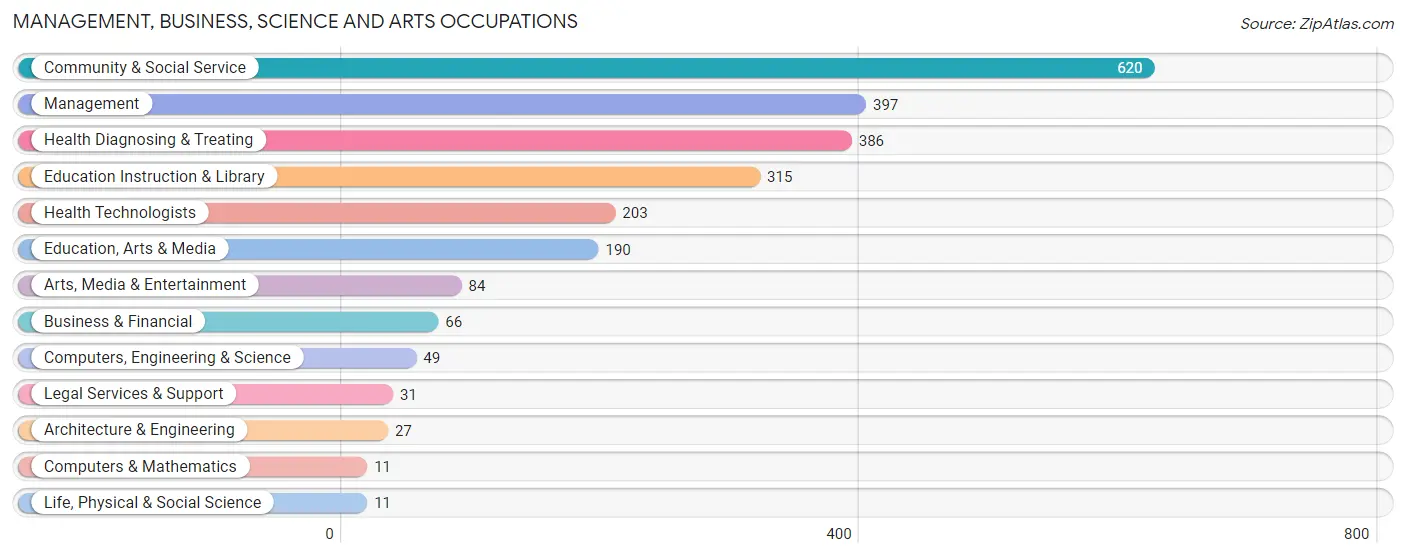 Management, Business, Science and Arts Occupations in Mountain Home