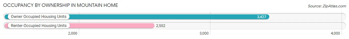 Occupancy by Ownership in Mountain Home