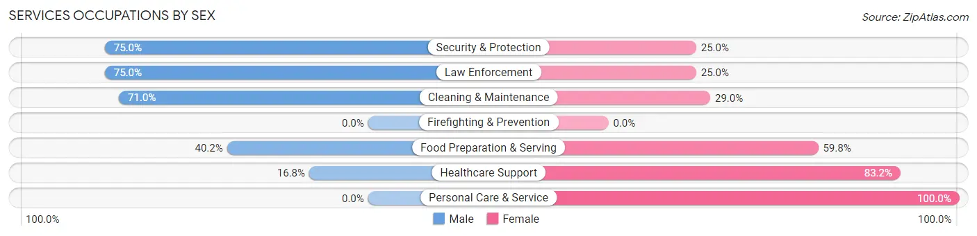 Services Occupations by Sex in Mountain Home