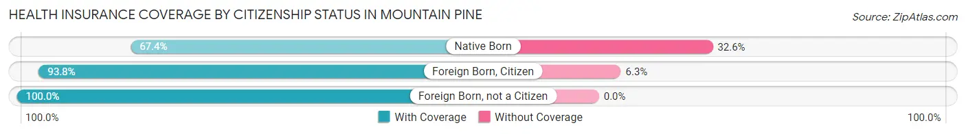 Health Insurance Coverage by Citizenship Status in Mountain Pine