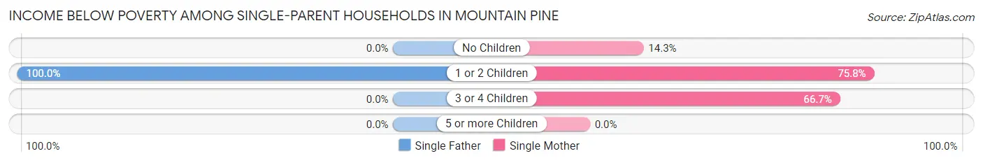 Income Below Poverty Among Single-Parent Households in Mountain Pine