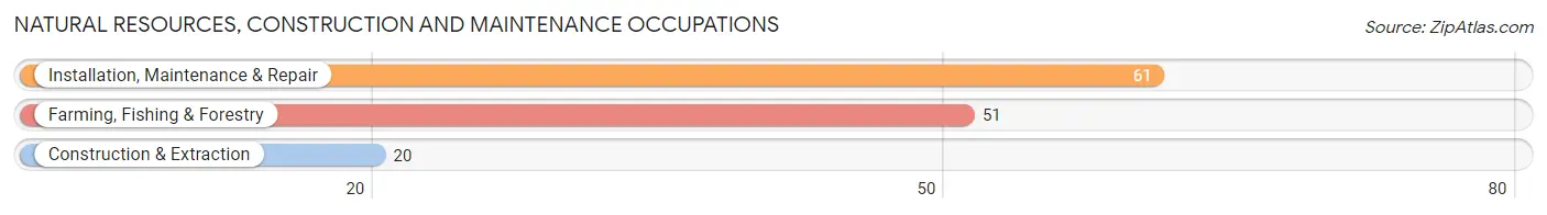 Natural Resources, Construction and Maintenance Occupations in Nashville