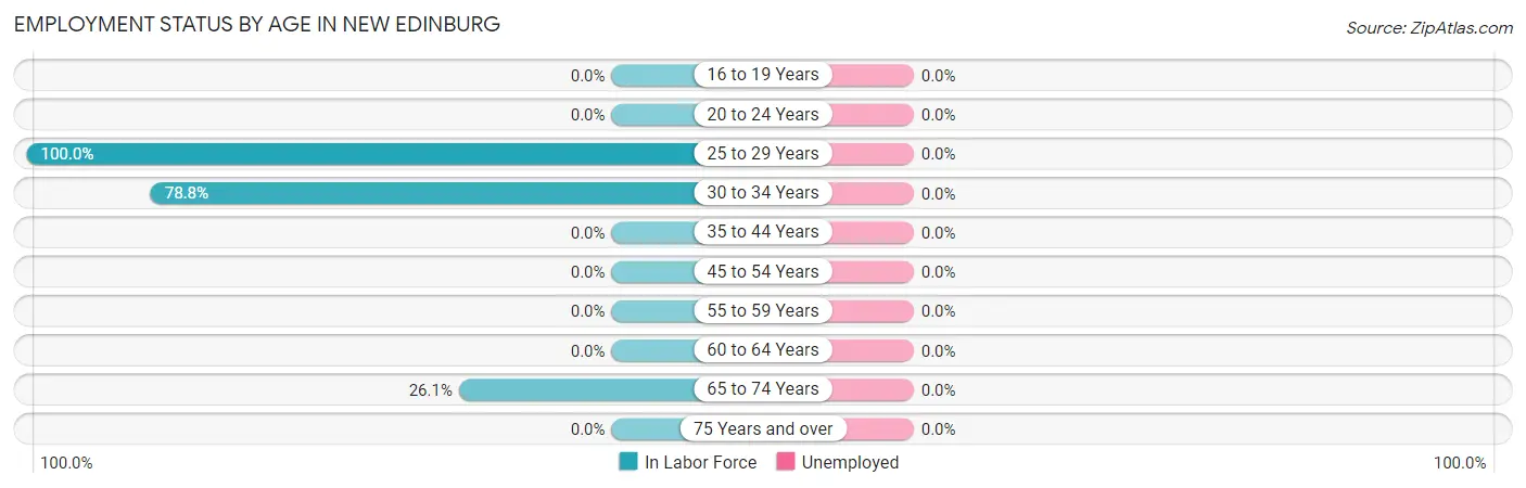 Employment Status by Age in New Edinburg