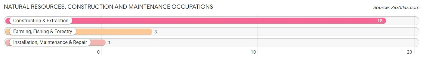 Natural Resources, Construction and Maintenance Occupations in Norfork