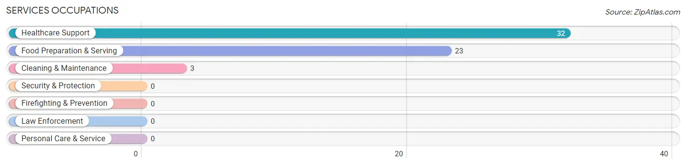 Services Occupations in Norfork