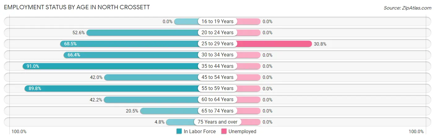 Employment Status by Age in North Crossett