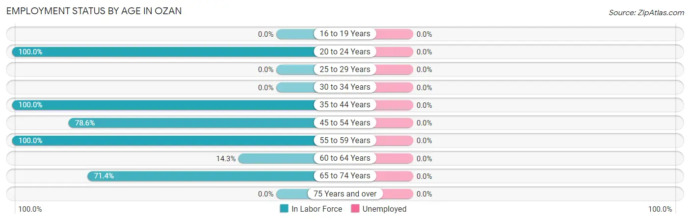 Employment Status by Age in Ozan