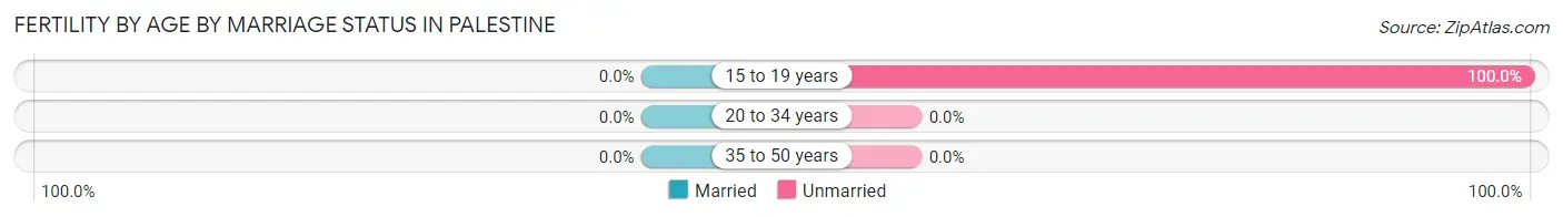 Female Fertility by Age by Marriage Status in Palestine