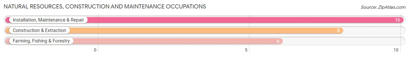 Natural Resources, Construction and Maintenance Occupations in Parkin