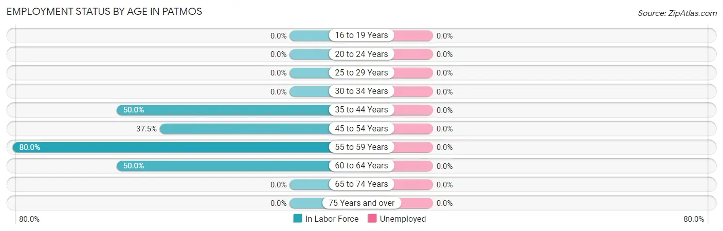 Employment Status by Age in Patmos