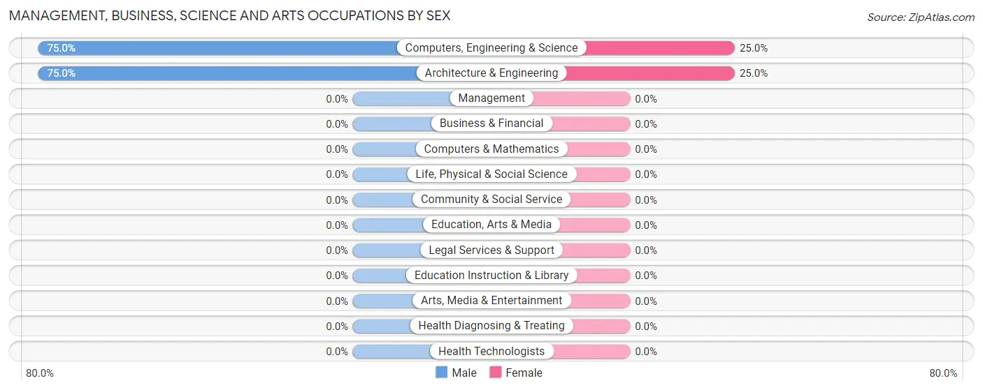 Management, Business, Science and Arts Occupations by Sex in Patmos